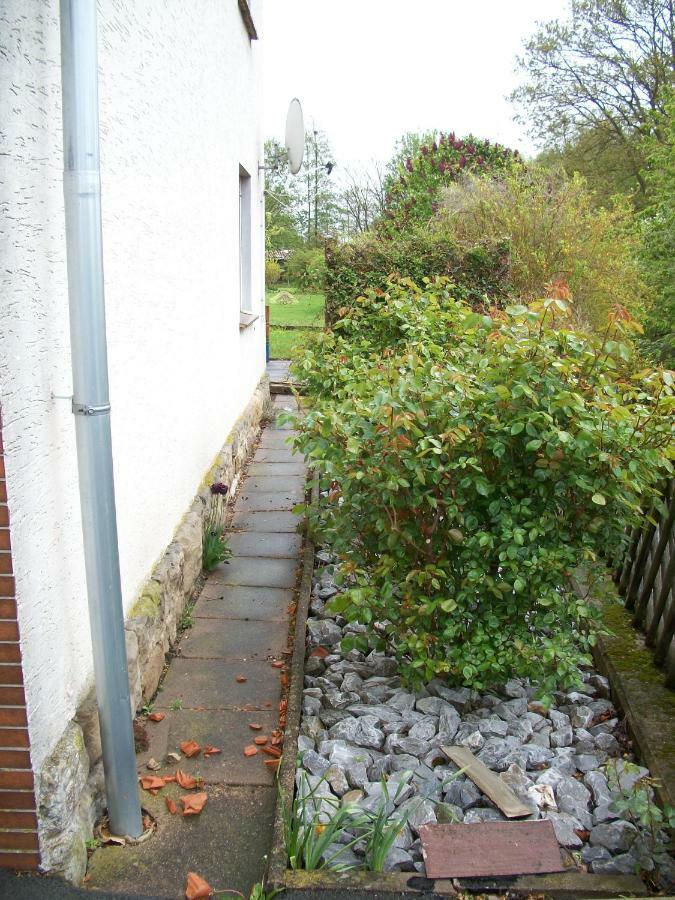 Ferienwohnung Manfred Aepkers Borgentreich Exterior foto